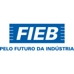 FIEB 300